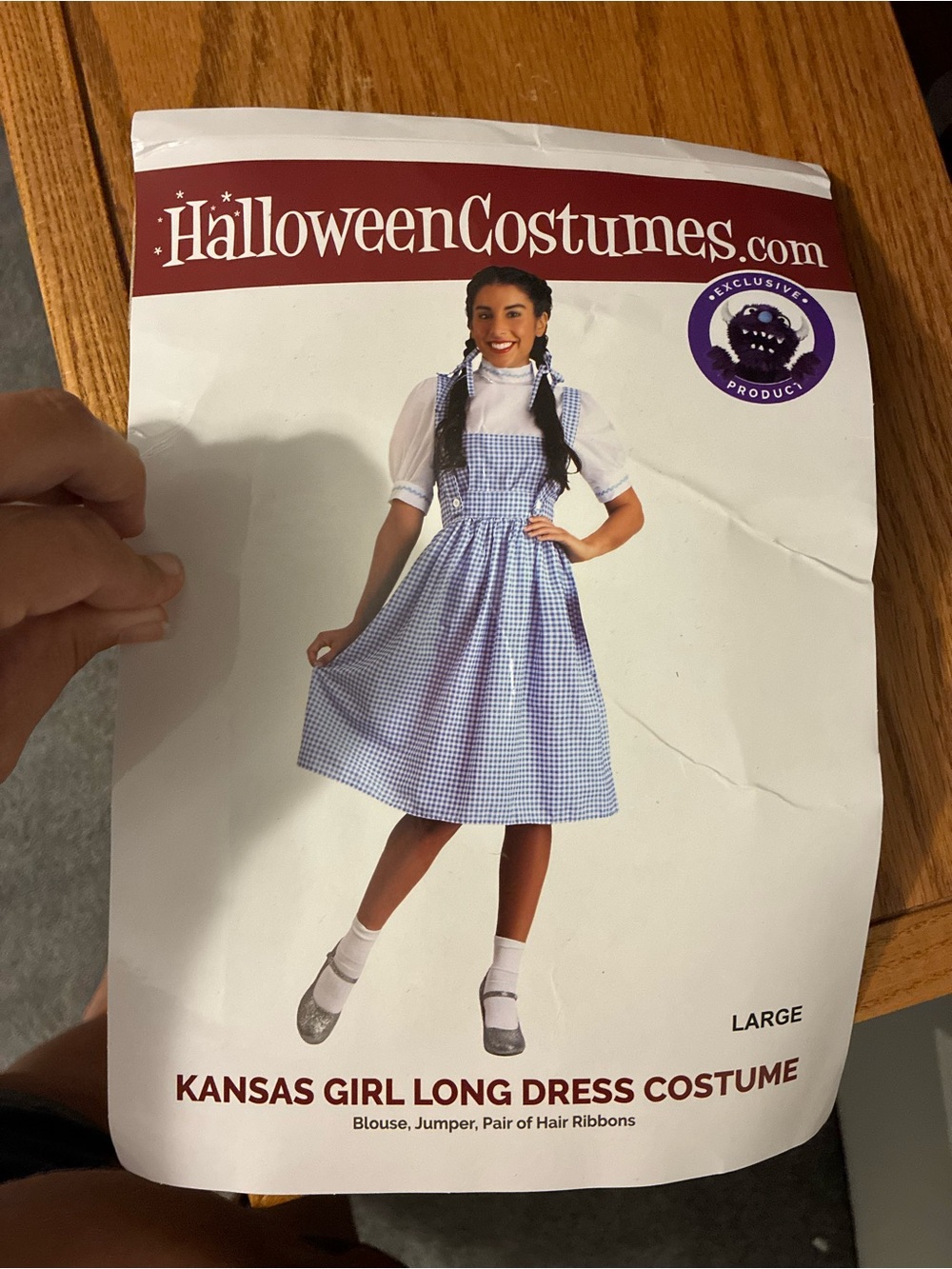 Wizard The Oz Inspired Dorothy Costume Size Large Halloween
